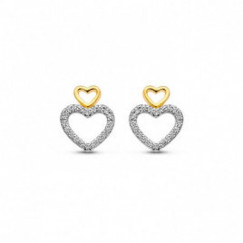 Boucles d'oreilles NAIOMY Argent 925 ml Plaqué or et Zirconium