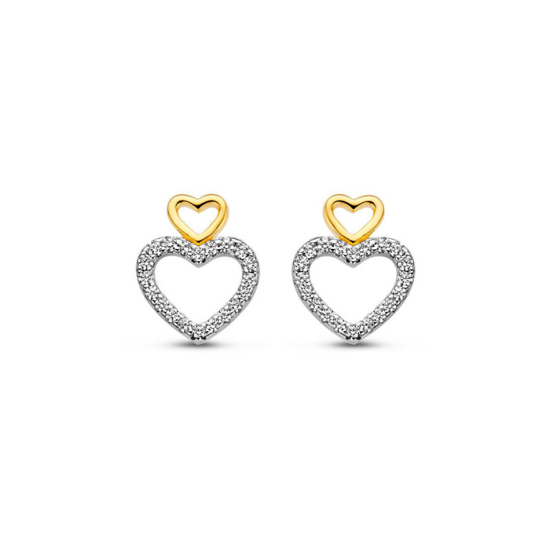 Boucles d'oreilles NAIOMY Argent 925 ml Plaqué or et Zirconium