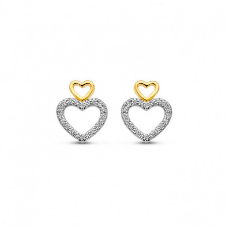 Boucles d'oreilles NAIOMY Argent 925 ml Plaqué or et Zirconium